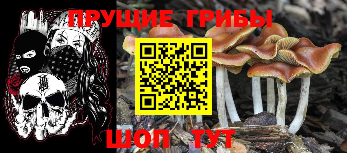 Брянск  Галлюциногенные грибы мухоморы  Вход с VPN  Галлюциногенные грибы Magic Shrooms 