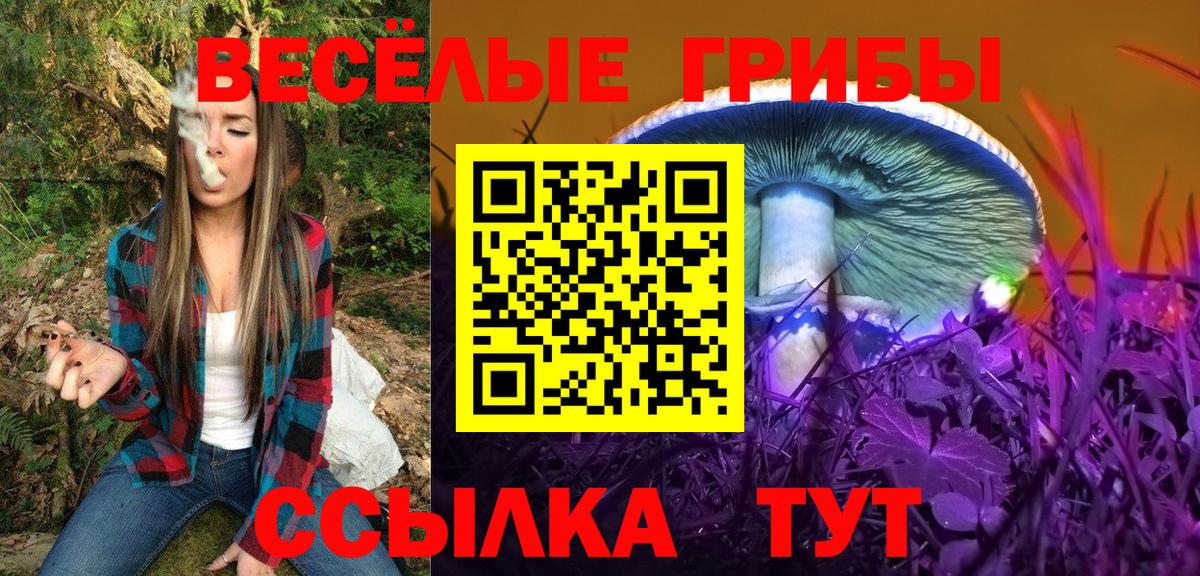 Галлюциногенные грибы мицелий Брянск